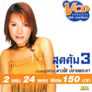 ดาวใต้ ปลายพระยา - สุดคุ้ม 3 [2cd] VCD1784-web1